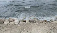 Van Gölü kıyılarında rüzgarın yarattığı dev dalgalar sahili vurdu