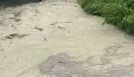Mudurnu’da sağanak tarımı vurdu dereler taştı