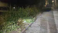 Bilecik'te kaldırımları otlar kapladı yayalar yola indi