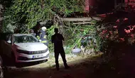 Eskişehir'de devrilen ağaç iki aracı hurdaya çevirdi
