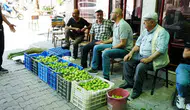 Aydın incir pazarında fiyatlar saatlik değişiyor