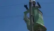 Amasya'da direğe çıkan kedi için enerji kesildi