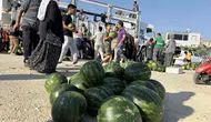 Tarsus’ta 30 ton karpuz kapış kapış gitti