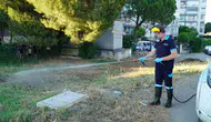 Balıkesir sinek ve haşereyle mücadeleyi 12 aya yaydı