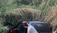 Aydın’da kaybolan sürücü sazlıkların arasında ölü bulundu