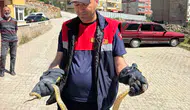 Yozgat'ta park halindeki otomobilin motoruna yılan girdi