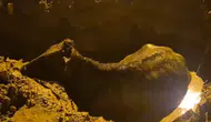 İhsaniye’de belediyenin açtığı çukura düşen inek kurtarıldı
