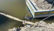 Samandağ kıyısında cansız beden bulundu