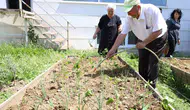Nilüferli yaşlılar bahçede sebze yetiştiriyor