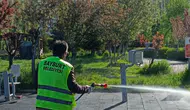 Bayburt parklarında kene mesaisi başladı