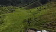 Tunceli’de mantar toplayan üç kişi ayı saldırısıyla yaralandı