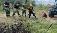 Diyarbakır'da su kuyusuna düşen yaban domuzunu itfaiye kurtardı