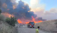 Edirne ormanlarına girmek 20 Haziran itibarıyla yasaklandı