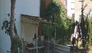 İzmitli öğretmenin tavuk yumurtalarını çalan karga kameraya yakalandı