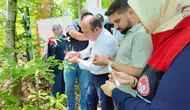 Fındık bahçelerinin yeni koruyucusu Samuray arıları iş başında