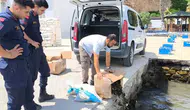 Aydın girişinde denetim 60 kilo yengece el konuldu
