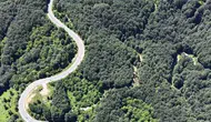 İnegöl ile Domaniç arasındaki o meşhur yol yeşile büründü