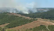 Adana İmamoğlu'nda anız yangını ormana sıçradı