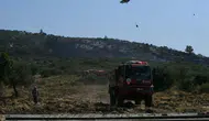 Urla Balıklıova’da orman yangını korkuttu