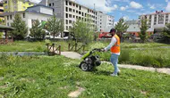Ardahan’da yağmur sonrası ot temizliği mesaisi başladı