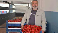 Bilecik’te kiraz bereketi var ama çiftçinin yüzü gülmüyor
