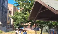 Yavru kargayı kurtarmak isterken annesinin hedefi oldu