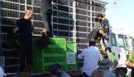 Gercüşlü üreticinin kümesine devletten hibeli destek