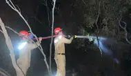 Dalaman ormanlarında gece yarısı korkutan yangın