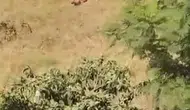 Adana'da babadan oğluna kanal kenarında şiddet