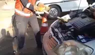 Hendek'te otomobilin kaputuna giren davetsiz misafir