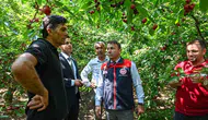 Denizli’de kiraz mevsimi açıldı