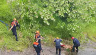 Samsun'da kayalıklara sıkışan düveleri kurtarma operasyonu