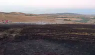 Bandırma’da buğday tarlasında çıkan yangını ekipler büyümeden söndürdü