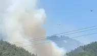 Soma ormanlarında yangın paniği