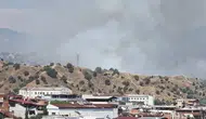 Nazilli’deki zeytinliklerde korkutan yangın
