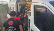 Çorum ormanlarında umut dolu bekleyiş mutlu bitti