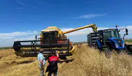 Kırklareli tarlalarında biçerdöver denetimi başladı