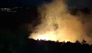 Antakya ormanlarındaki yangın büyümeden söndürüldü