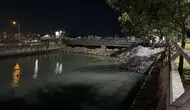 Bakırköy sahilinde binlerce ölü balık kıyıya vurdu
