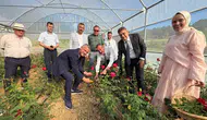 Kocaeli’de gül devrimi 35 yaşındaki girişimci ilk serasını açtı