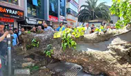 Orhangazi trafiğini felç eden devrilme