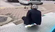 Sokak kedisine kimyasal sıkan market çalışanı beraat etti