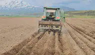 Adilcevaz toprağı fasulye ile buluştu