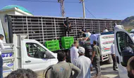 Sason’da üreticiye devletten ücretsiz tavuk desteği