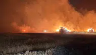 Mazıdağı’nda gece yarısı çıkan yangın hasat öncesi tarlaları vurdu