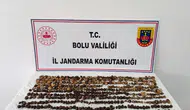 Bolu’da 4,5 kilo salep toplayan üç kişiye milyonluk ceza
