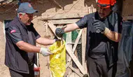 Kırıkkale'de kümes baskını yapan yılan paniği