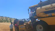 Ağın’da hasat ve fiyat denetimi mesaisi