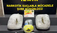 İzmir polisine uyuşturucu baskını 15 kilo skunk yakalandı