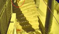 Bursa'da züccaciyeye dadanan hırsız perukla kendini gizledi